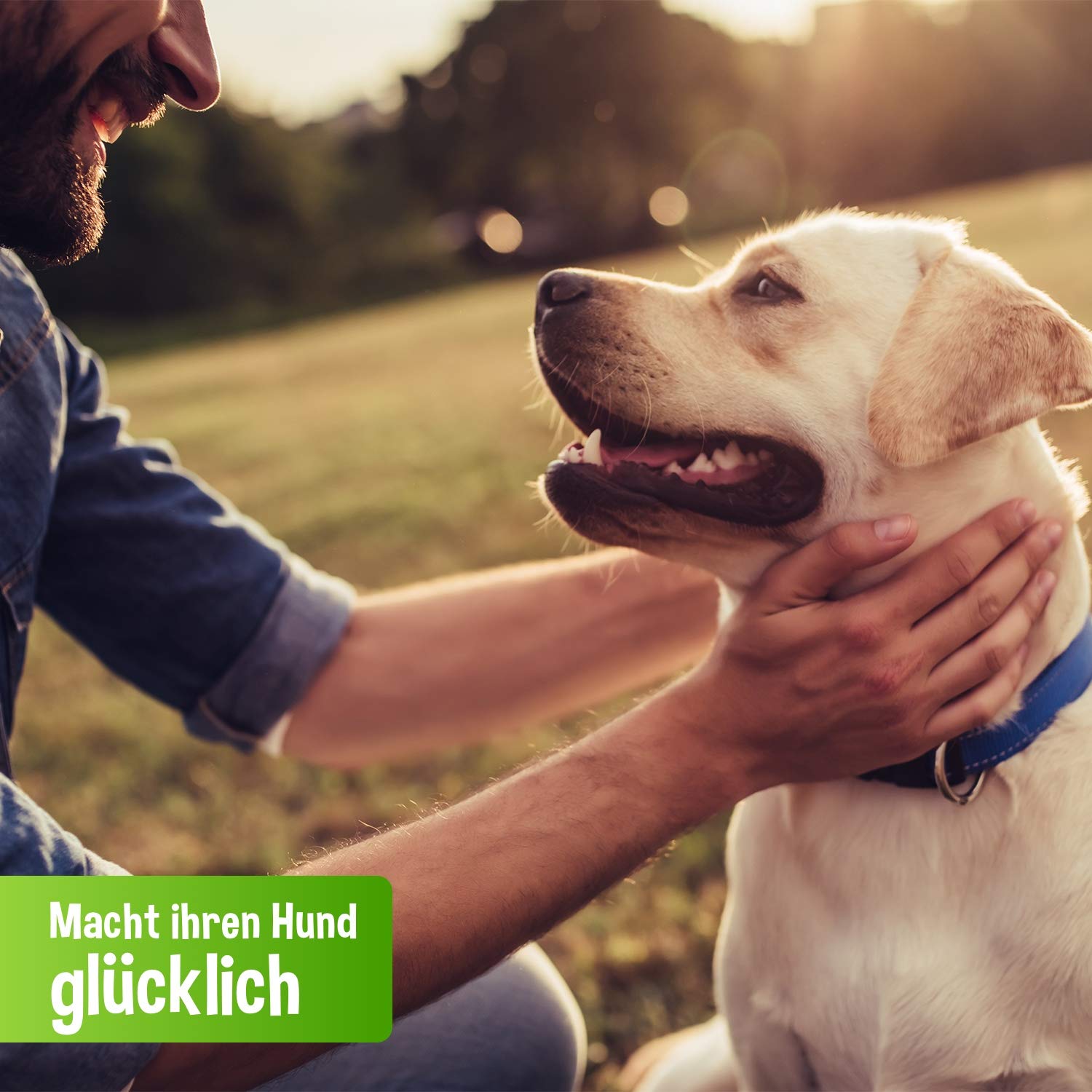 schecker-rind-pur-nassfutter-hund-rindfleisch-6x410g-monoprotein image 5