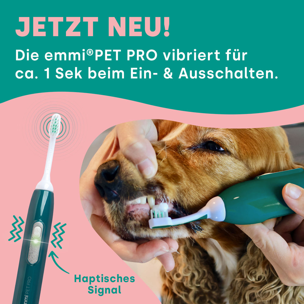 emmi-pet-pro-ultraschallzahnb-rste-mit-handtuch-f-r-hunde image 4