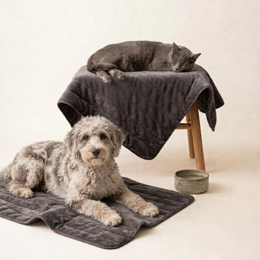 emmi-pet-tierbedarf-hundedecke-grau-gr-e-m-gesteppt image 2