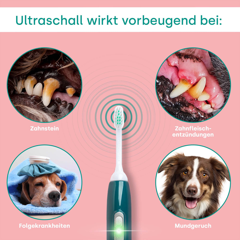 emmi-pet-pro-ultraschallzahnb-rste-all-in-one-set image 6