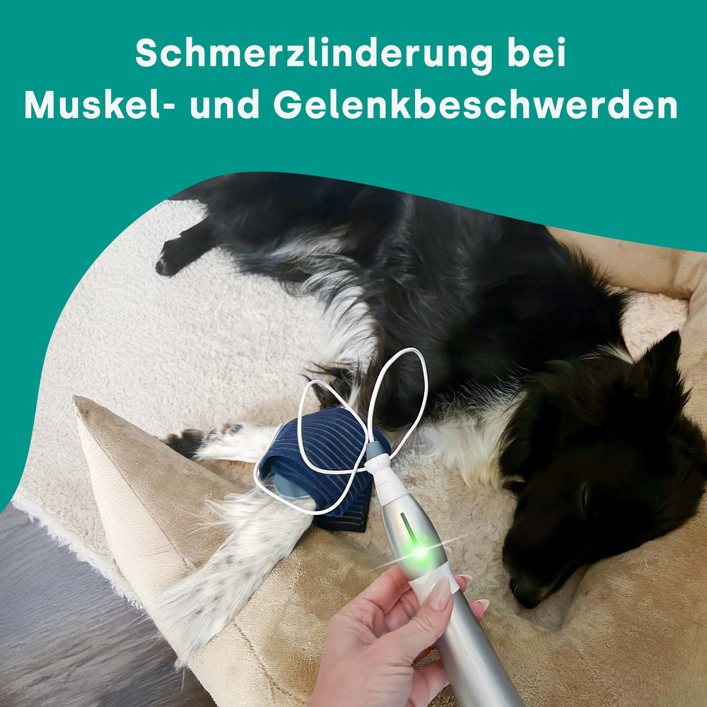emmi-pet-physio-set-plus-ultraschalltherapie-hund-katze-pferd image 4