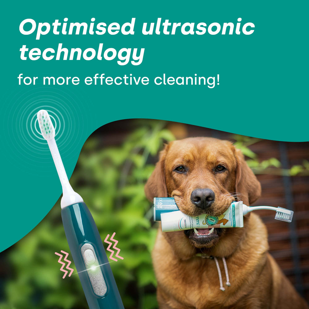 emmi-pet-pro-ultraschallzahnb-rste-basis-set-f-r-hunde image 7