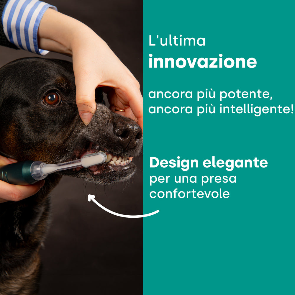 emmi-pet-neo-set-ultraschallzahnb-rste-hund-katze-basis image 6