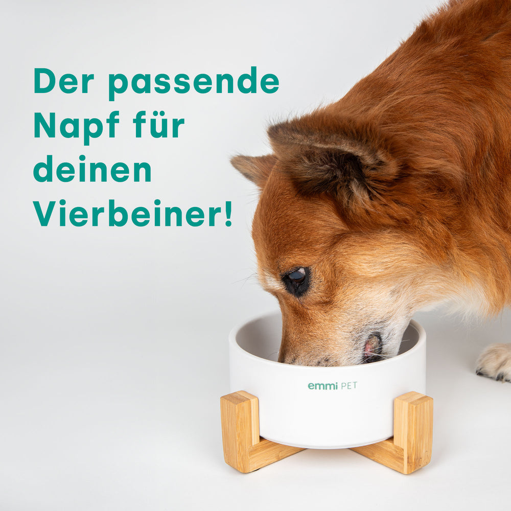 emmi-pet-keramiknapf-750-ml-mit-holzgestell-hundenapf image 2