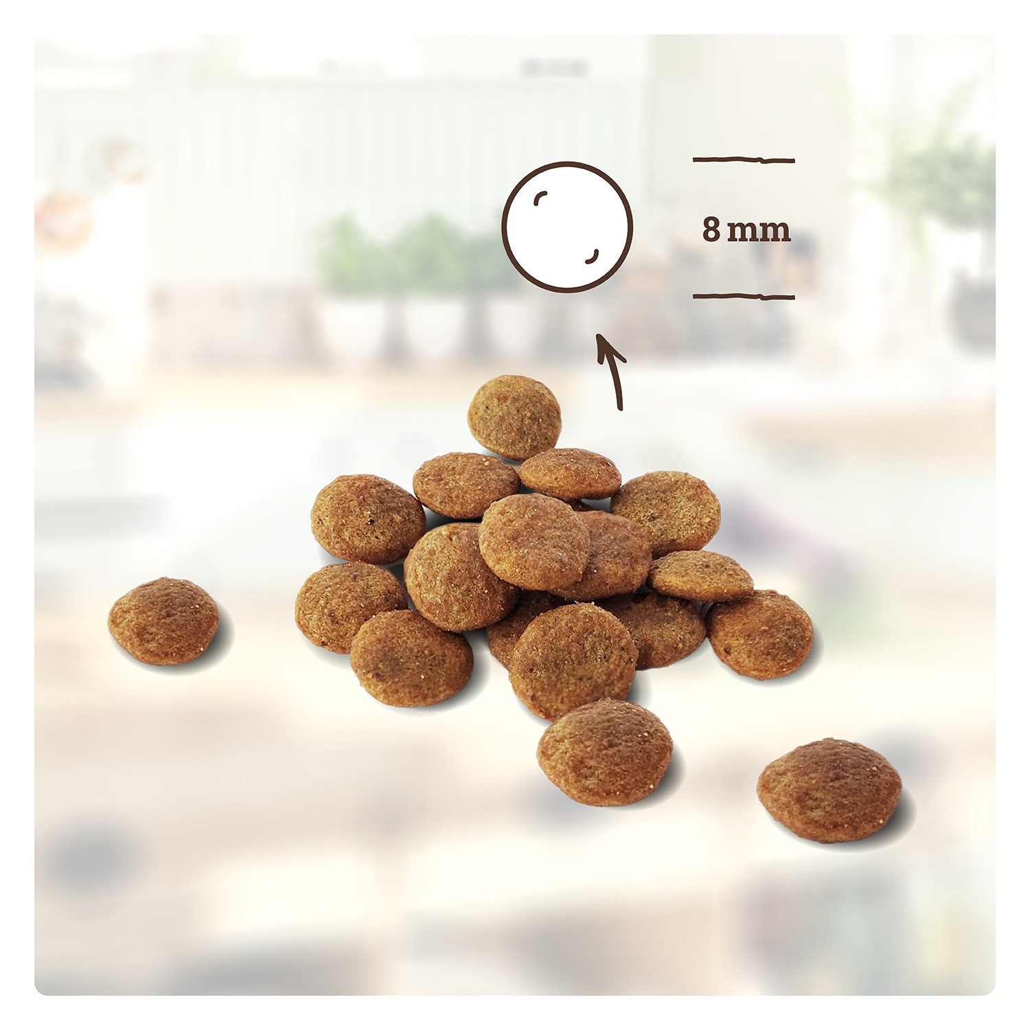 betty-s-landhausk-che-kitten-trockenfutter-h-hnchen-pute-300g image 3