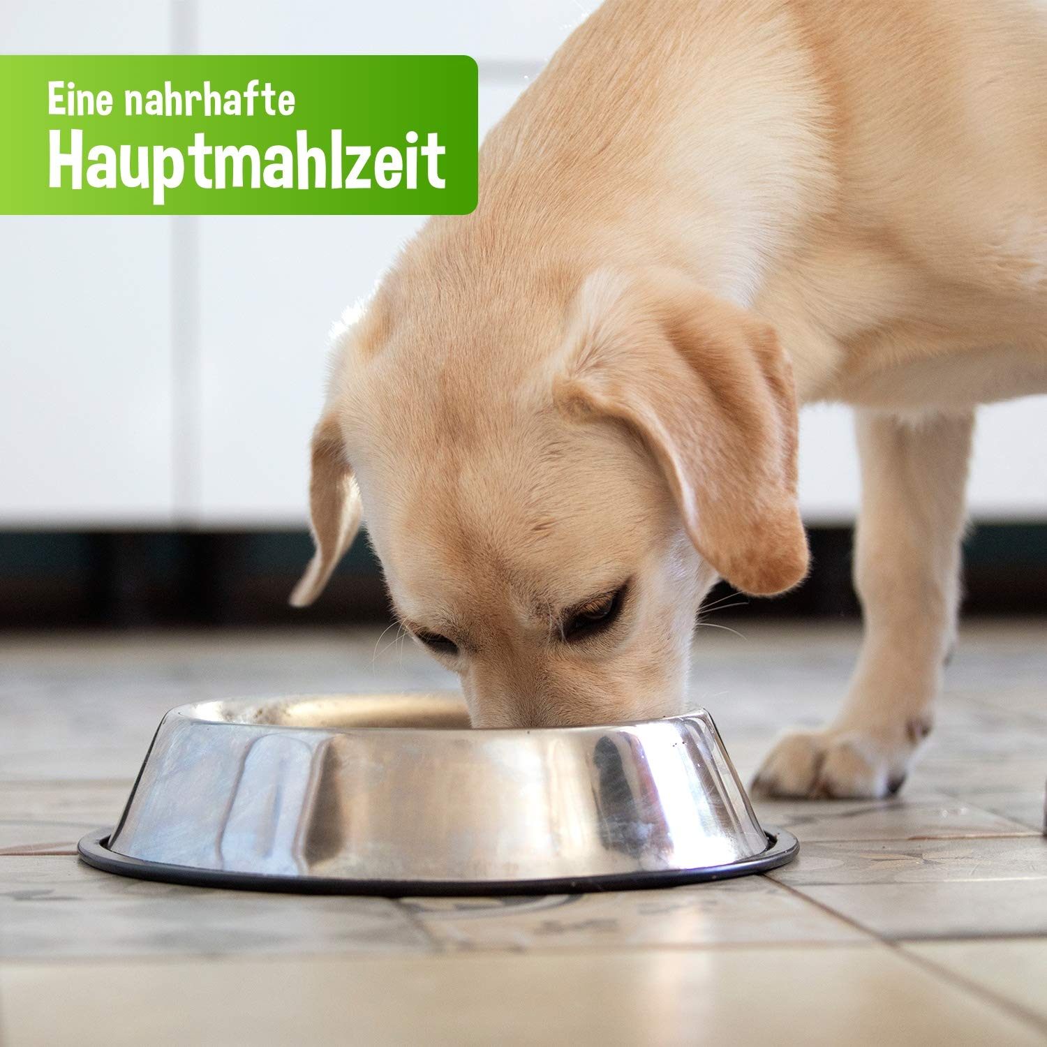 schecker-k-nguru-pur-nassfutter-hund-410g-48er-pack-getreidefrei image 4