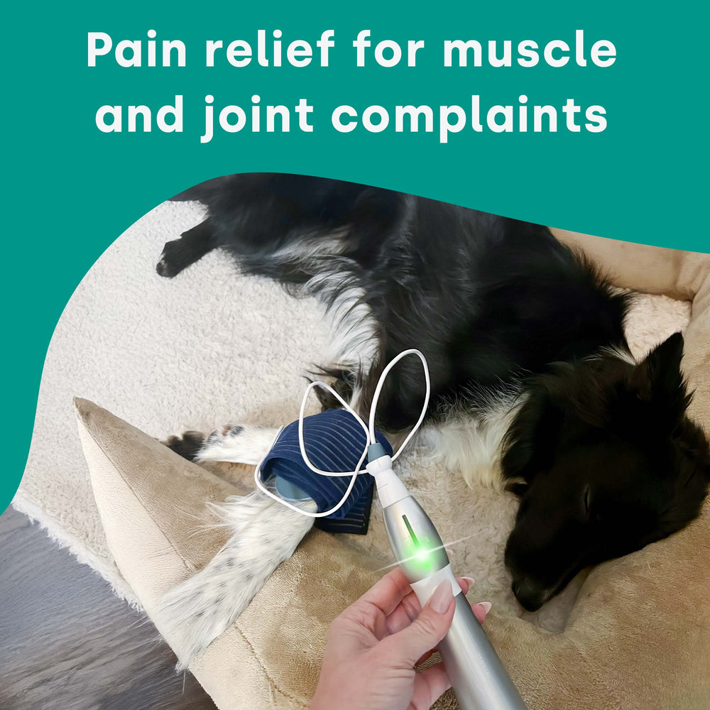 emmi-pet-physio-plus-kit-ultraschall-therapie-hund-katze-pferd image 2