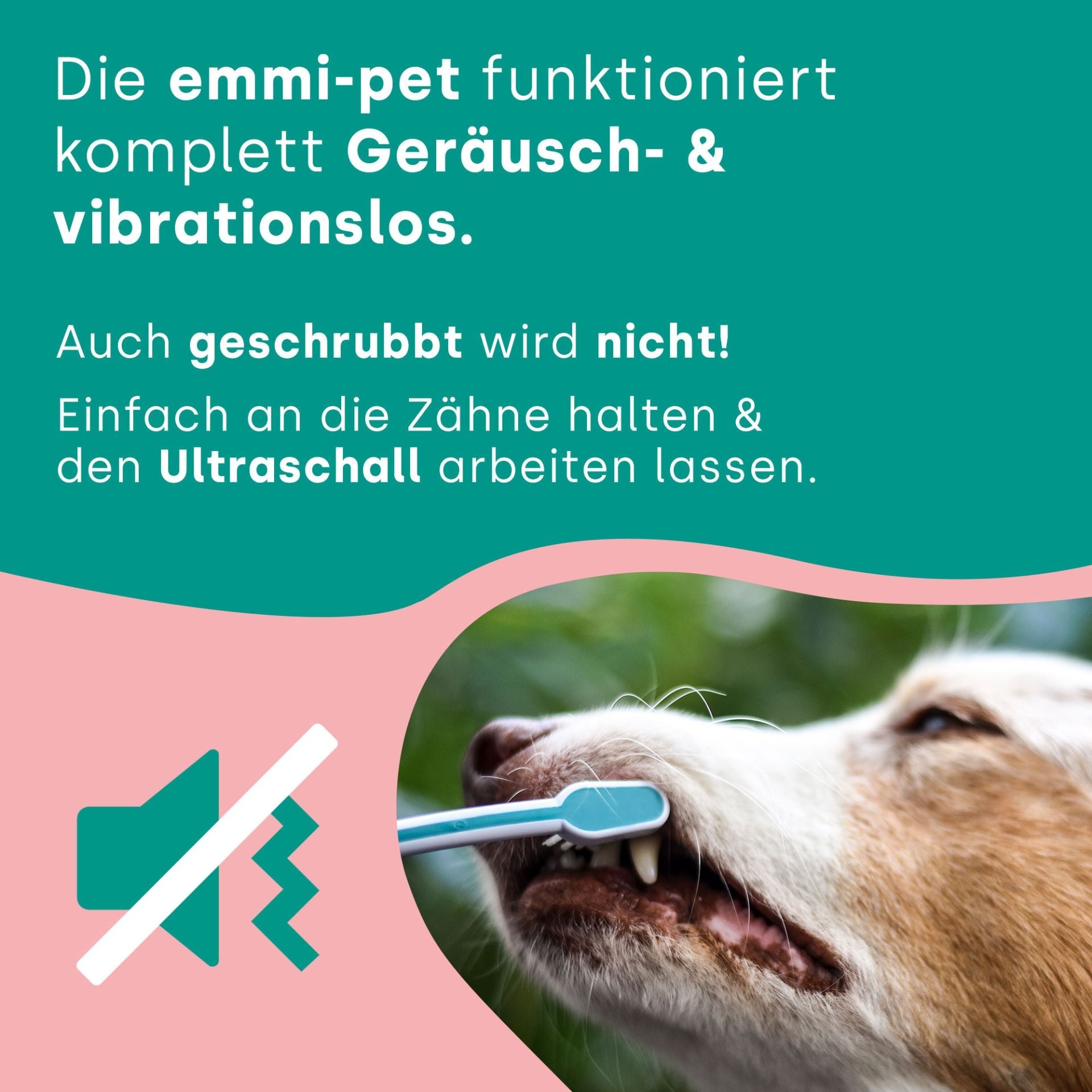 emmi-pet-basis-set-2-0-limited-pink-ultraschallzahnb-rste-2 image 5