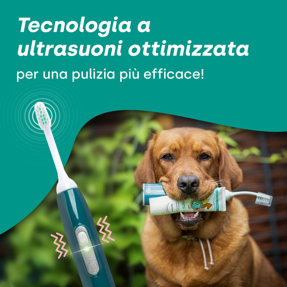 emmi-pet-pro-ultraschallzahnb-rste-base-set-2-b-rsten image 7