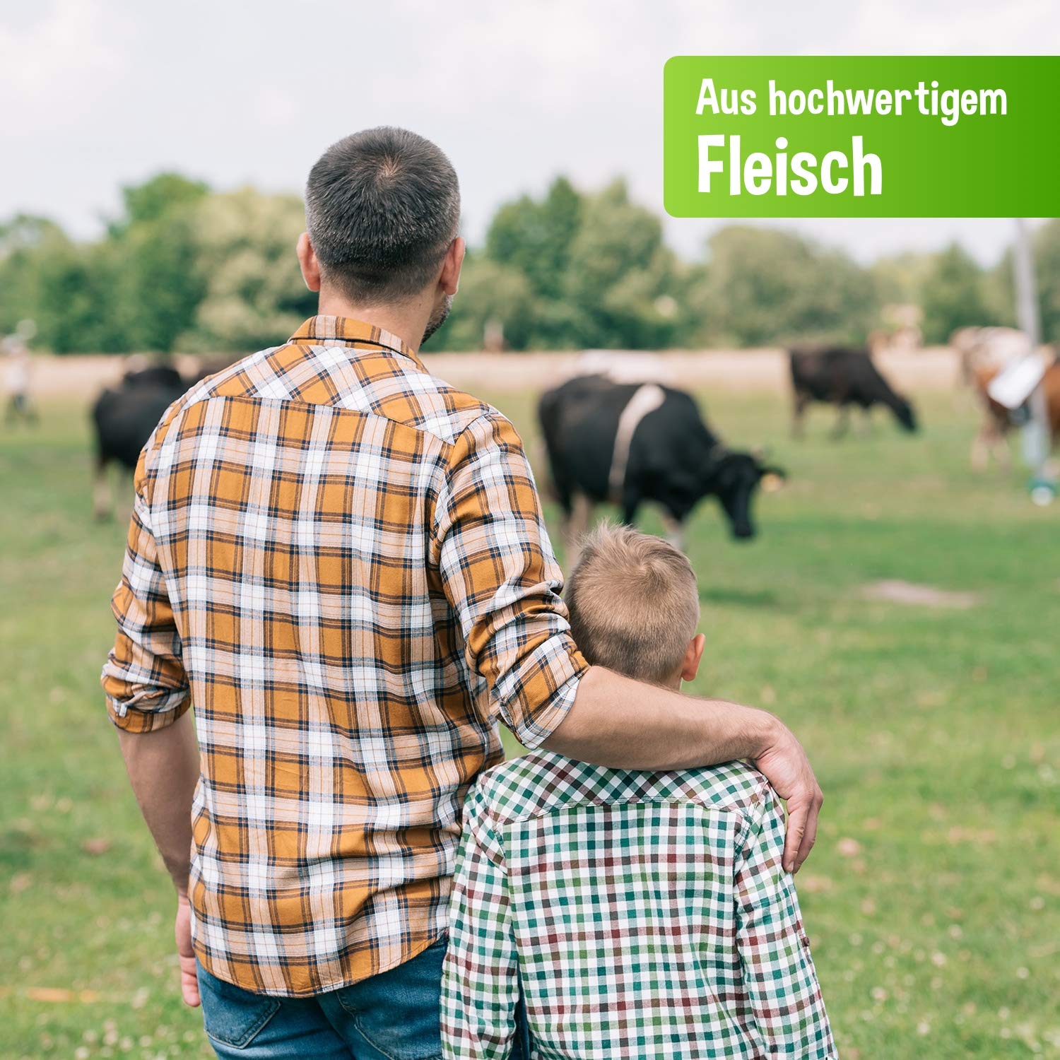 schecker-rind-pur-nassfutter-hund-rindfleisch-6x410g-monoprotein image 4