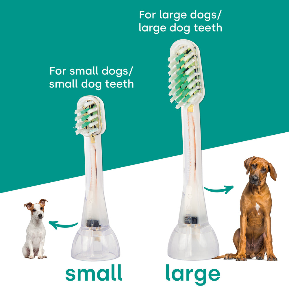 emmi-pet-neo-starter-set-ultraschallzahnb-rste-hund-katze-3-modi image 8