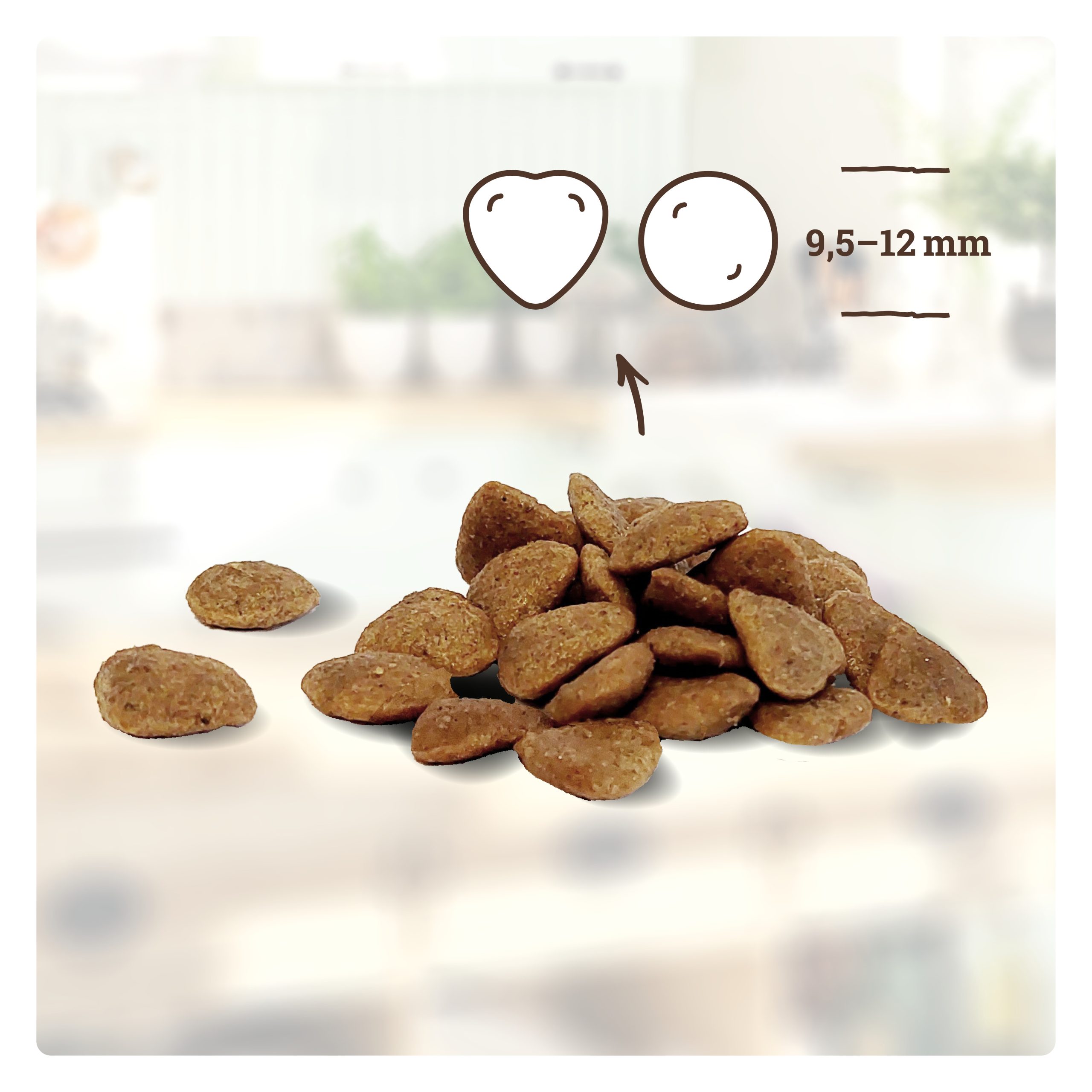 betty-s-landhausk-che-adult-rind-pur-trockenfutter-katze-1-4kg image 3