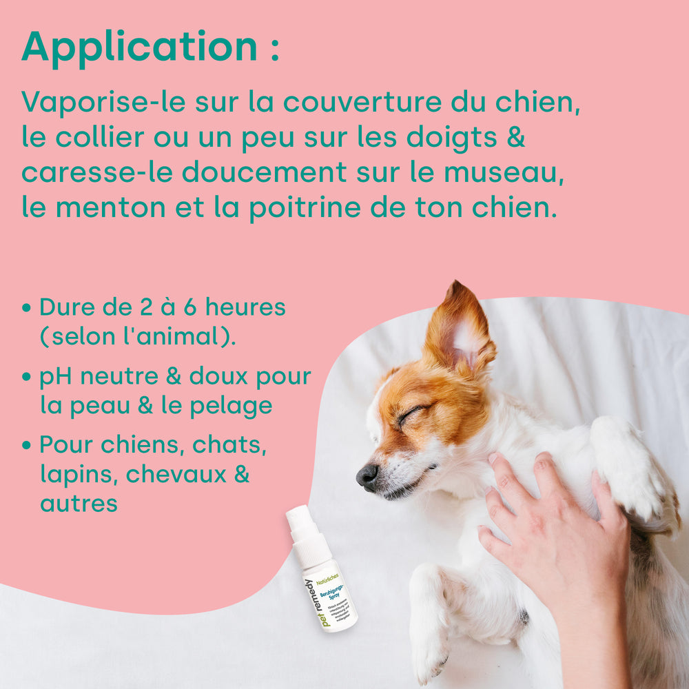 pet-remedy-beruhigungsspray-15-ml-f-r-hund-katze-unterwegs image 4