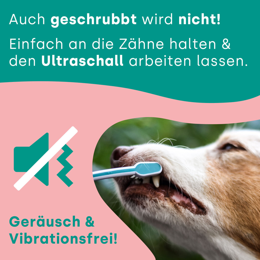emmi-pet-pro-ultraschallzahnb-rste-mit-handtuch-f-r-hunde image 6