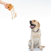 emmi-pet-tierbedarf-qualle-zerrspielzeug-hund-baumwolle-jute image 5