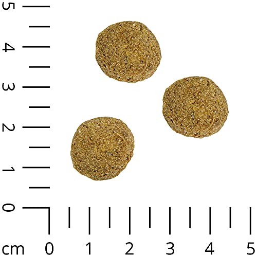schecker-vollkost-brocken-mit-fleisch-trockenfutter-3-kg image 6