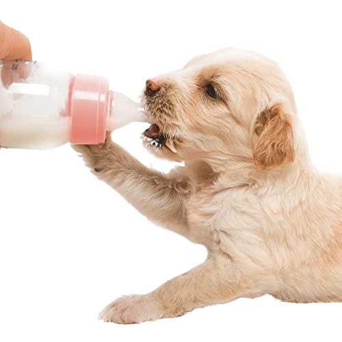 schecker-dogreform-welpenmilch-pulver-5-kg-aufzuchtmilch image 5
