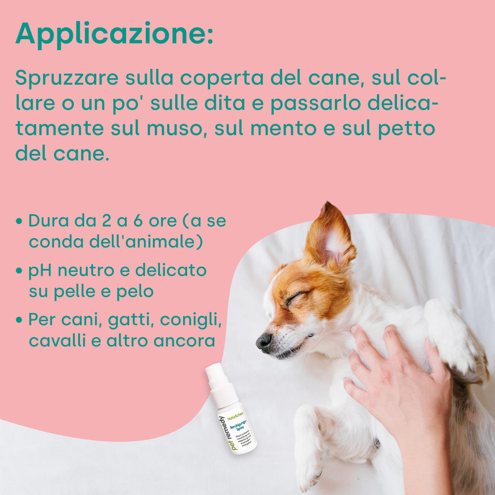 pet-remedy-beruhigungsspray-15-ml-f-r-hunde-und-katzen image 4