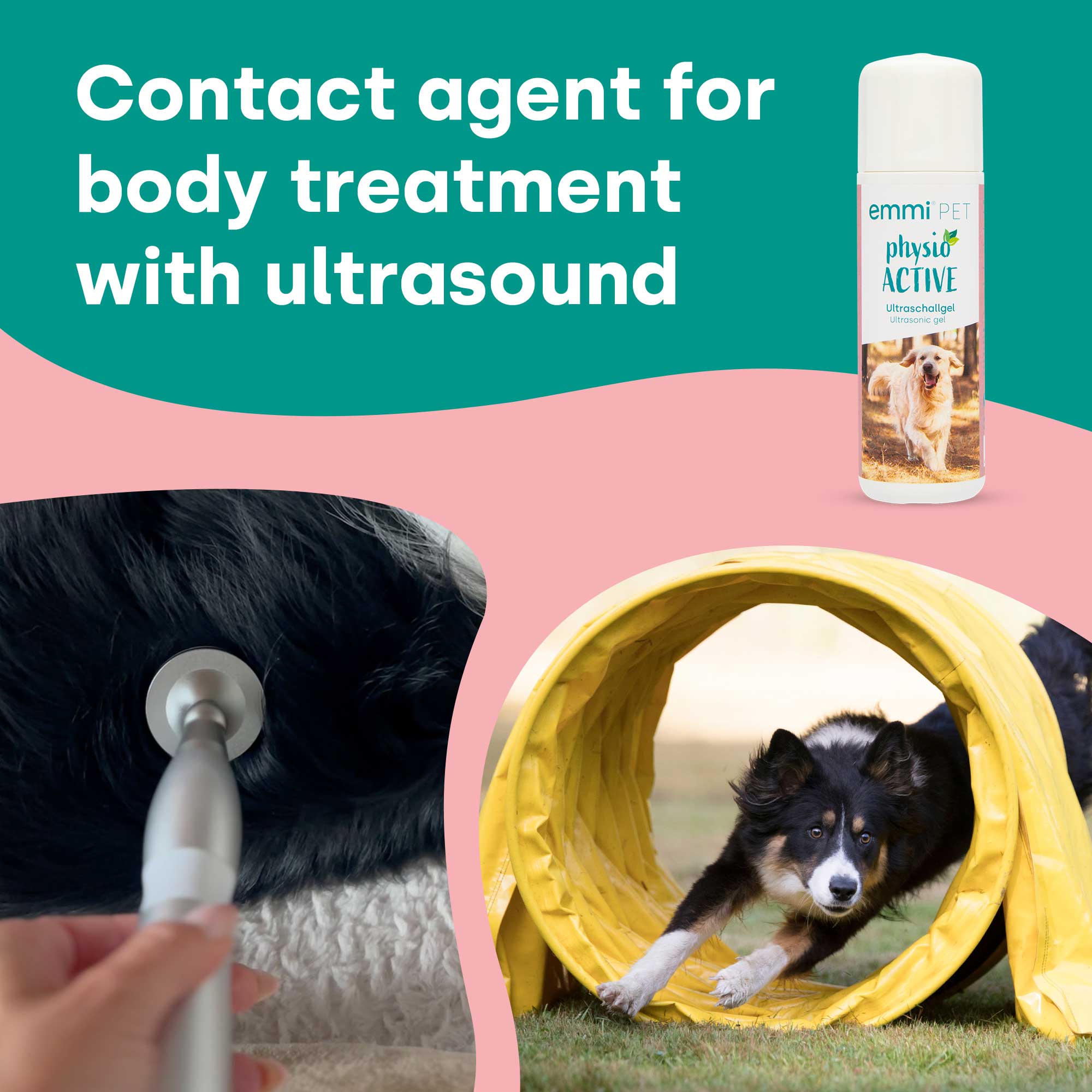 emmi-pet-physio-set-ultraschalltherapie-hund-katze-pferd-2 image 3