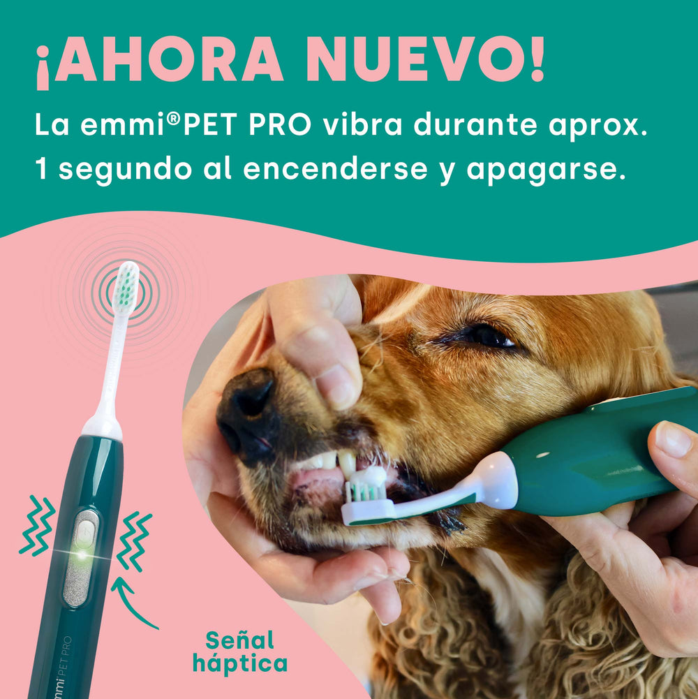 emmi-pet-pro-ultraschallzahnb-rste-mit-handtuch-f-r-hunde-2 image 5