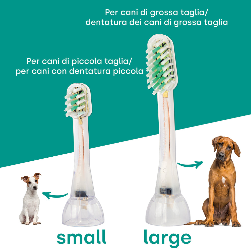 emmi-pet-neo-set-ultraschallzahnb-rste-hund-katze-basis image 8