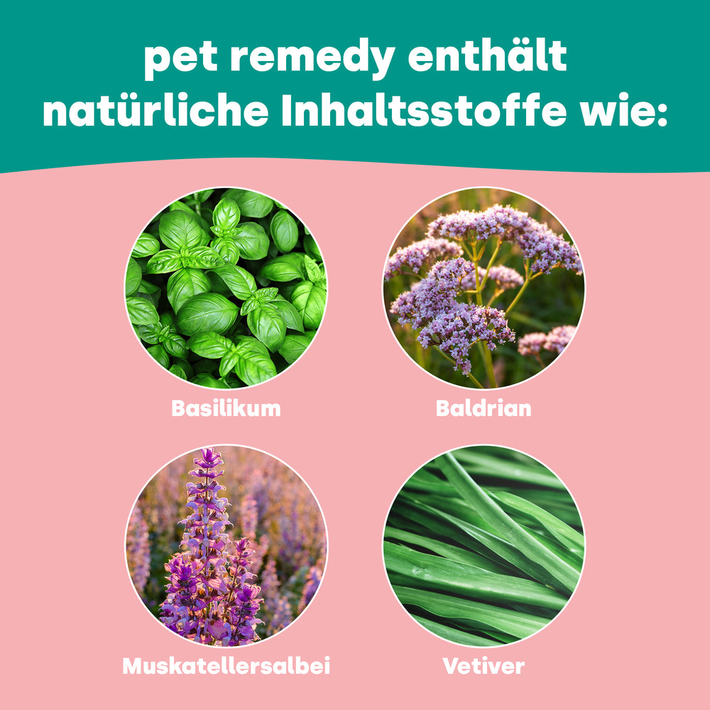 pet-remedy-schaumschnellw-sche-trockenshampoo-ohne-wasser image 3