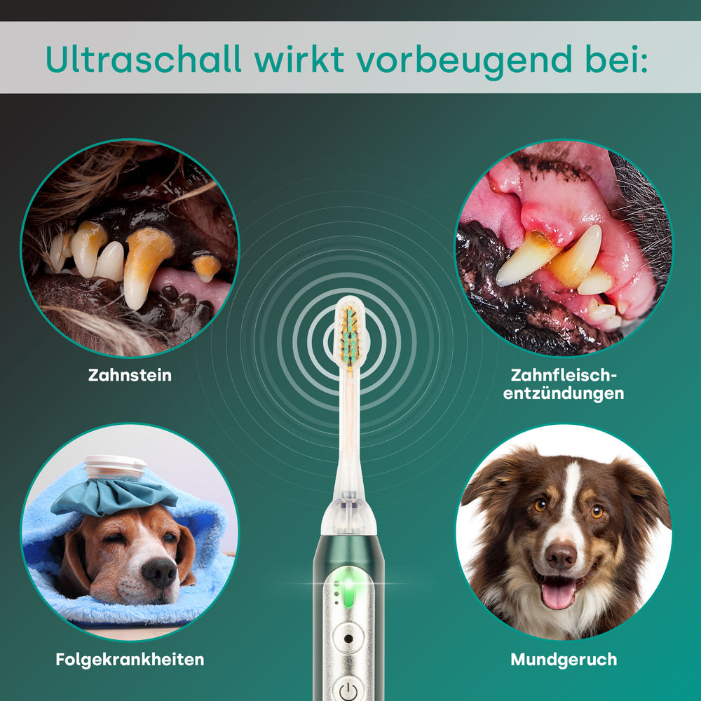 emmi-pet-neo-all-in-one-ultraschallzahnb-rste-hund-katze-3-modi-2 image 2