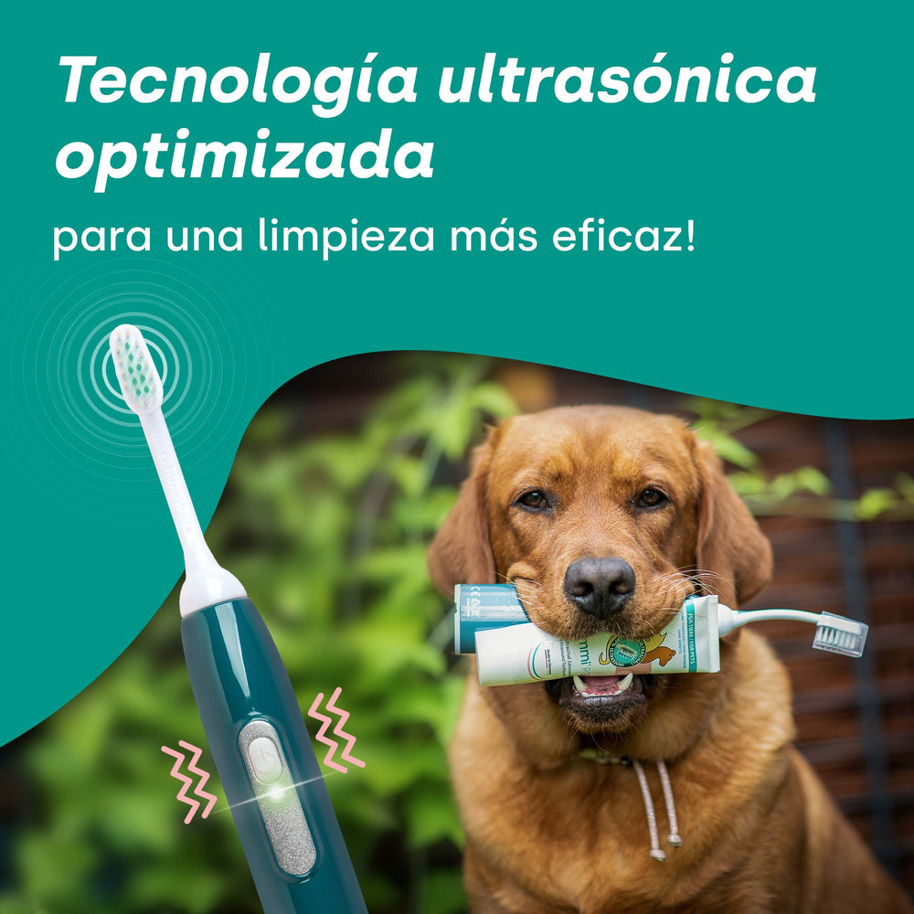 emmi-pet-pro-ultraschallzahnb-rste-mit-handtuch-f-r-hunde-2 image 6