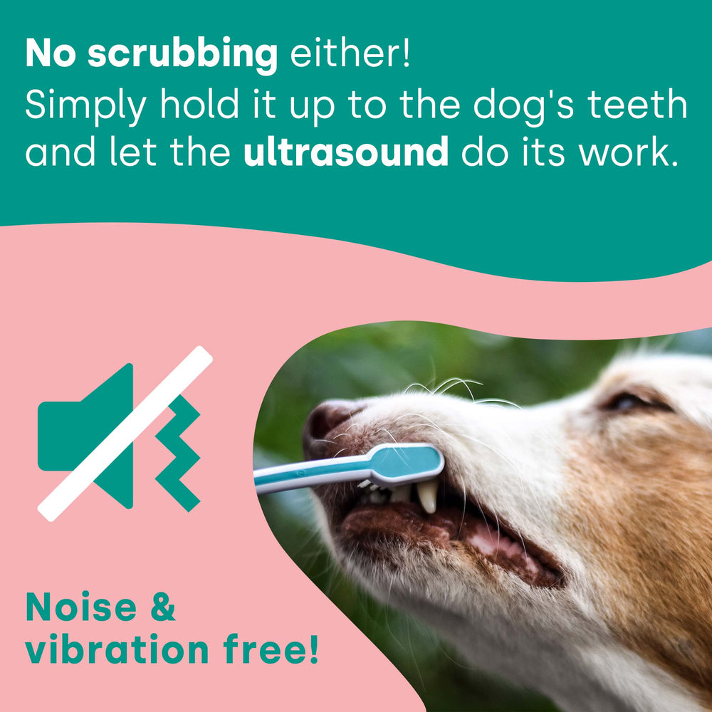 emmi-pet-pro-ultraschallzahnb-rste-gratis-handtuch image 7