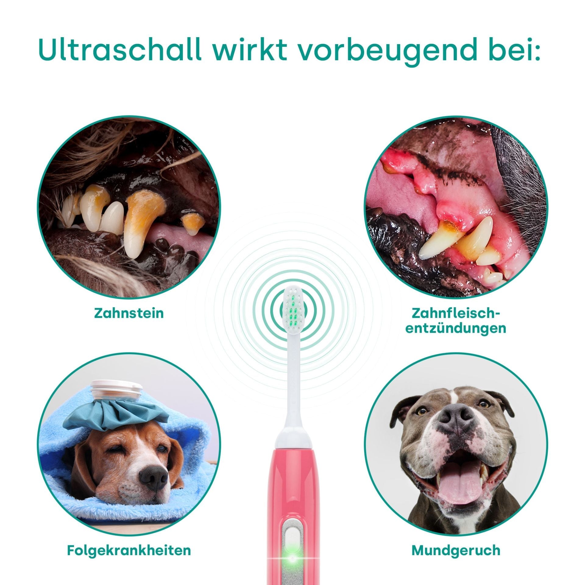 emmi-pet-basis-set-2-0-limited-pink-ultraschallzahnb-rste-2 image 7
