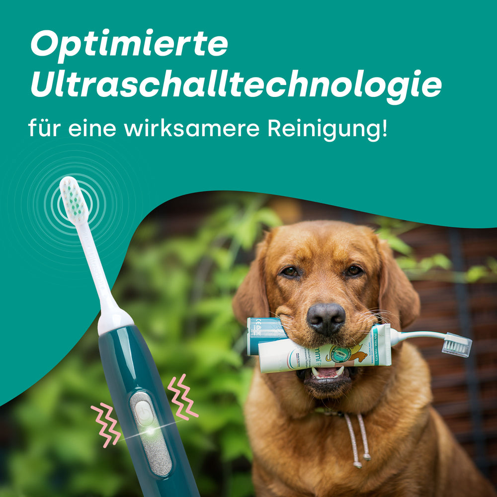 emmi-pet-pro-ultraschallzahnb-rste-all-in-one-set image 5